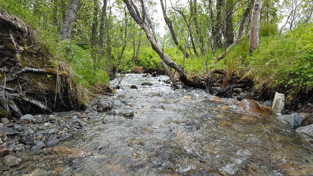Gamtunet Lyngen Svensby Zewnętrze zdjęcie